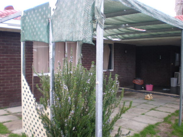 Damaged Pergola 